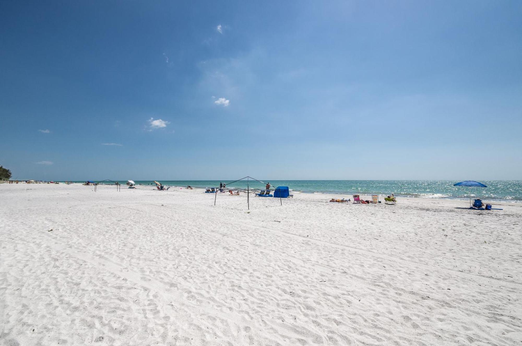 The Rose Aparthotel Clearwater Beach Exterior foto